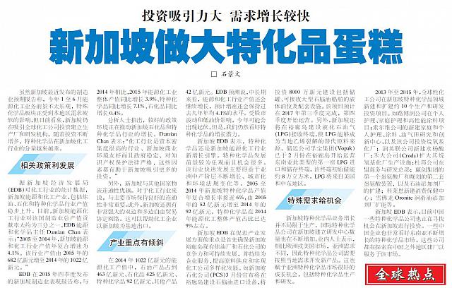 新加坡做大特化品蛋糕