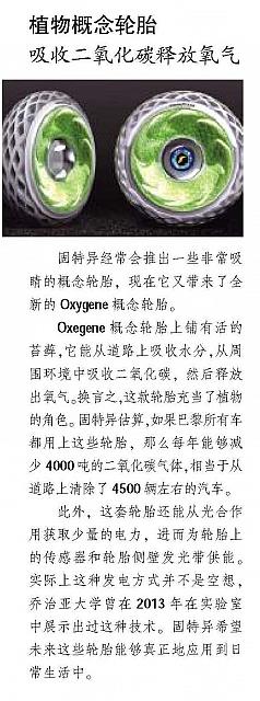 植物概念轮胎 吸收二氧化碳释放氧气