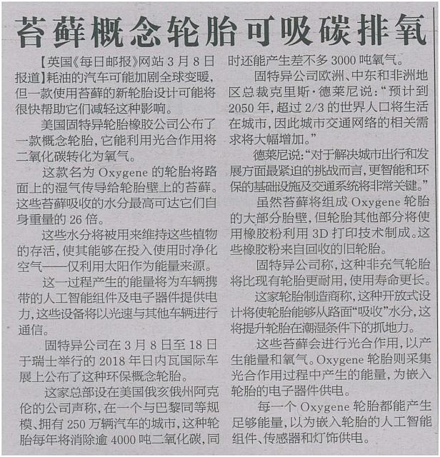 苔藓概念轮胎可吸碳排氧