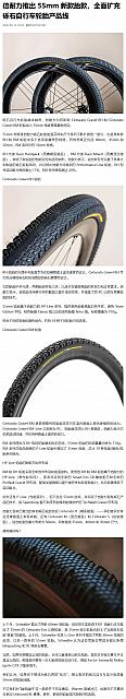 0611Pirelli16