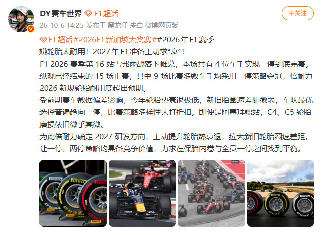 1008Pirelli6