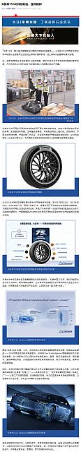 1015Michelin1