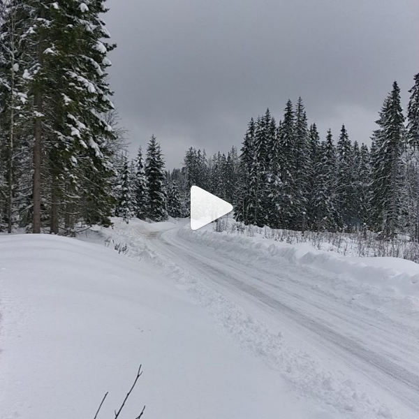 2-19-2018 3-45-52 PM