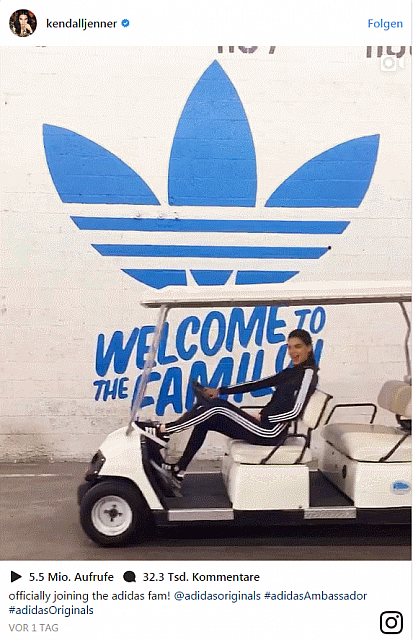 20170601 Puma Bild 2