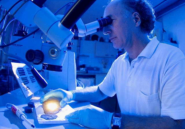 8-31-2017 7-37-37 AM