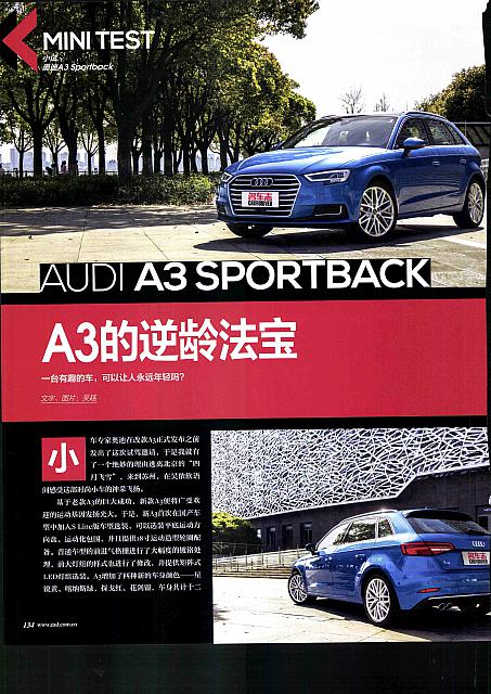 A1