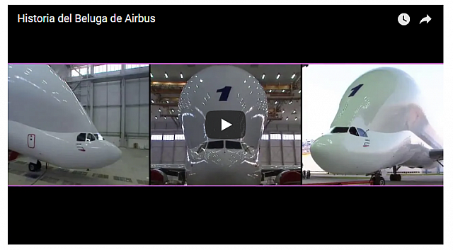 Beluga