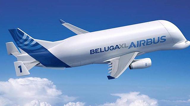 Beluga2