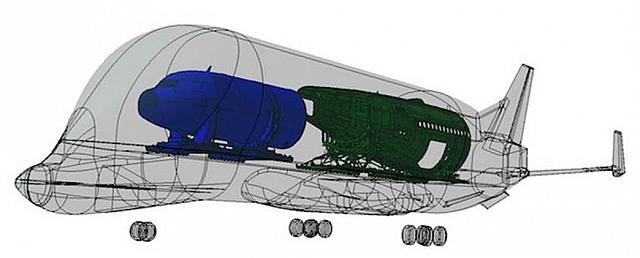 Beluga3