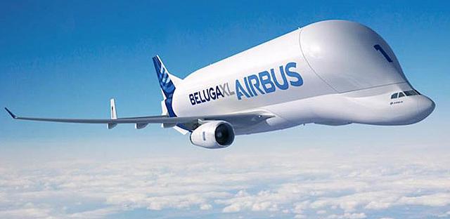 Beluga6