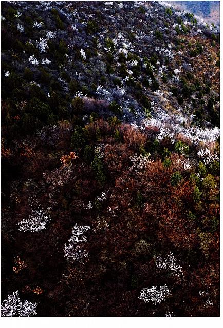 News 20170516170903866155SSXS 7