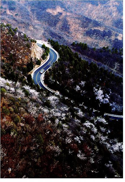 News 20170516170903866155SSXS 8