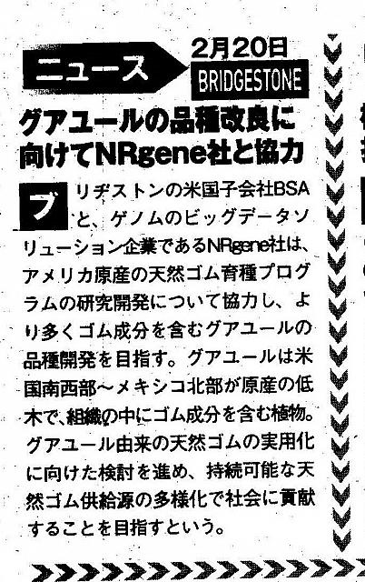 Pages from 2018 04 holiday auto JAP Scan-9 普利司通