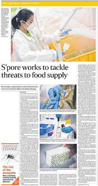 S’pore works to tackle threats to food supply