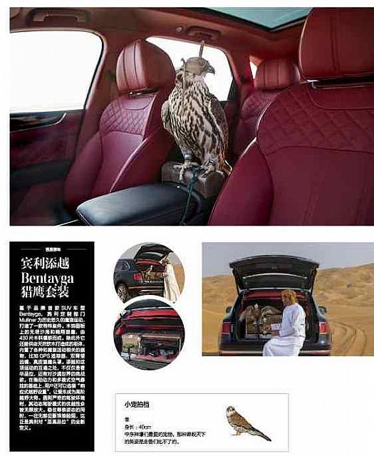 WeChat Image 20180927090215