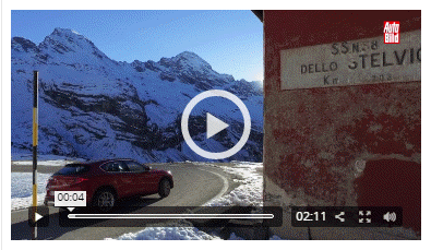 alfa
