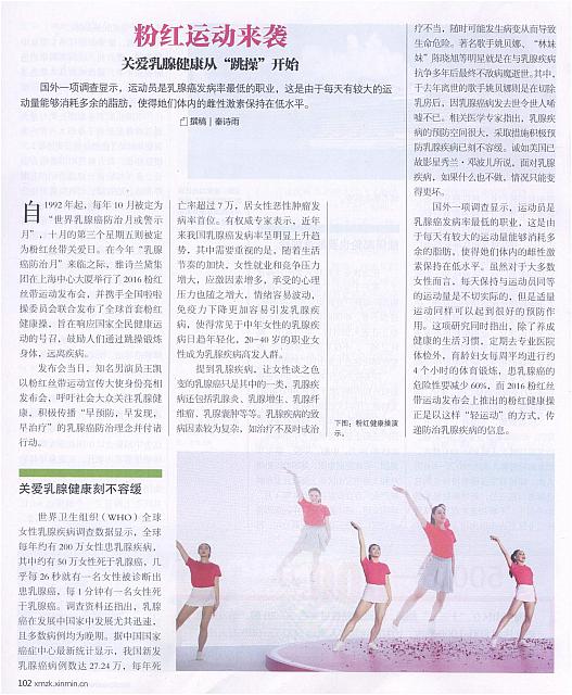 fenhong1