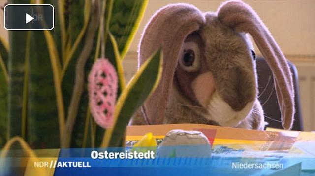 ndr