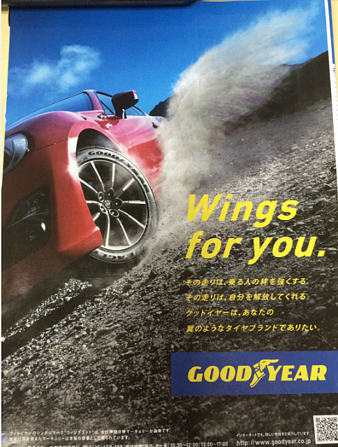 wings for you