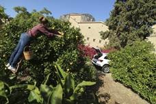 zukunft unterm hexenberg