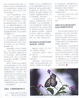 互联网周刊2