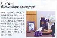 吕Ryo 高丽人参浓缩精华 头皮健康发根强韧