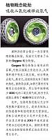 植物概念轮胎 吸收二氧化碳释放氧气