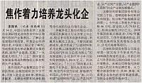 焦作着力培养