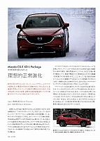 理想的な真実化p106