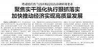 聚焦实干强化执行狠抓落实加快推动经济实现高质量发展
