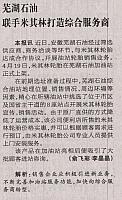 芜湖石油联手米其林打造综合服务商
