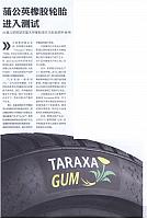 蒲公英橡胶轮胎进入测试