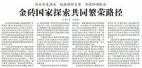 金砖国家探索共同繁荣路径