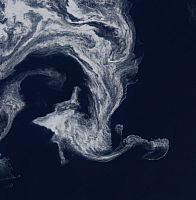 08-07-2019 09-55-57