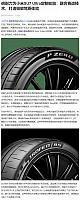 1016Pirelli31