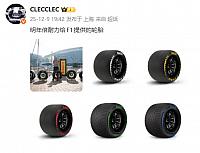 1210Pirelli3