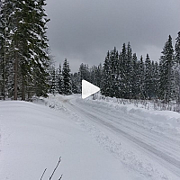 2-19-2018 3-45-52 PM