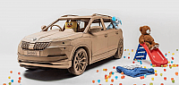 20180110 Skoda Bild 3