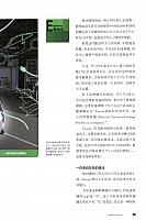 20180815 Auto Business Review 汽车商业评论 Porsche(196-202) Page 2