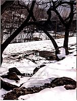 222News 20190415100956550222SPPJ 2