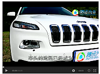 A1