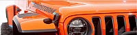 AA2