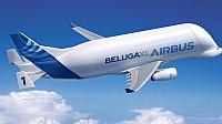 Beluga2