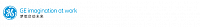 GE Single logo