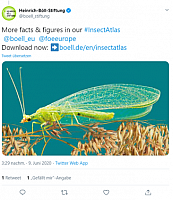 InsectAtlas2
