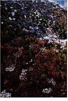 News 20170516170903866155SSXS 7