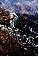 News 20170516170903866155SSXS 8