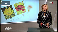 WDR