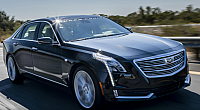 caddy