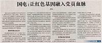 guodian 1